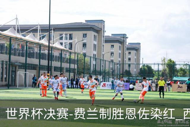 世界杯决赛-费兰制胜恩佐染红 西班牙加时1-0阿根廷夺冠