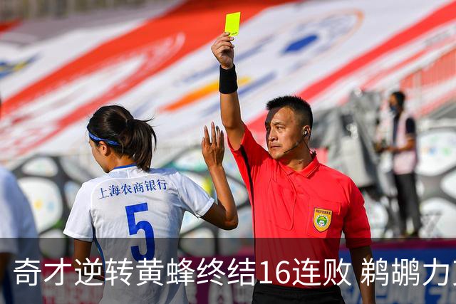 奇才逆转黄蜂终结16连败 鹈鹕力克76人3连胜