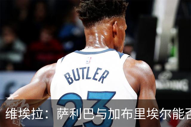 维埃拉：萨利巴与加布里埃尔能否重现不败传奇？